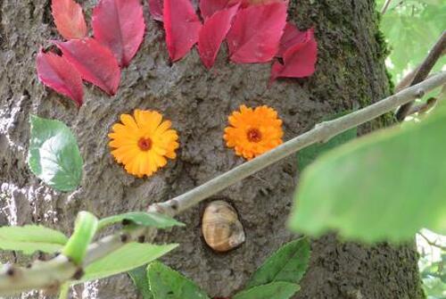 Jardin sensoriel l'Arbre Fay
