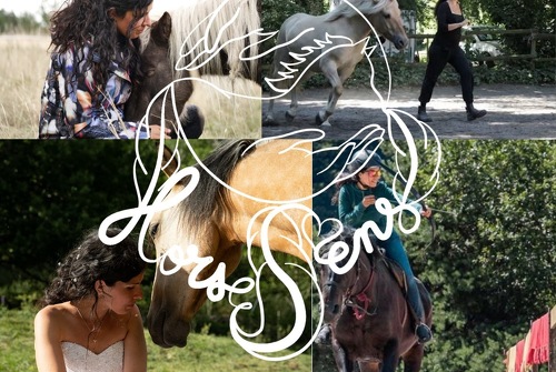 HorseSens Immersions