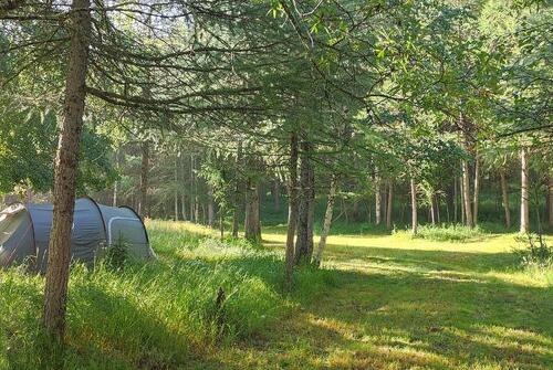 Natuurlijke camping Suffet