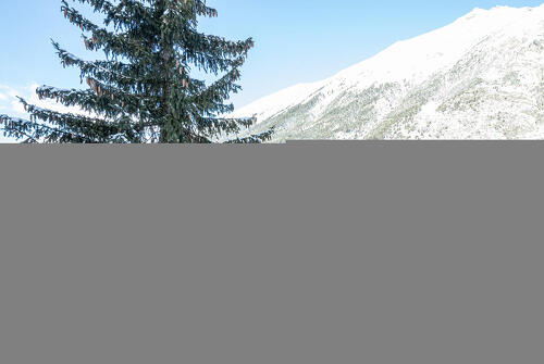 Le quiz des terrasses