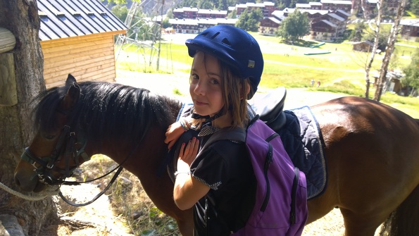 Stage poney