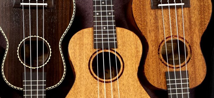 Make Your Ukulele
