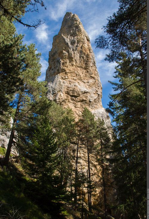 Les secrets de la forêt du Monolithe