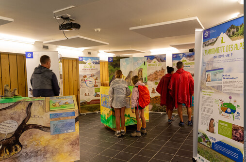 Visite commentée de l'exposition "La tribu des marmottes"