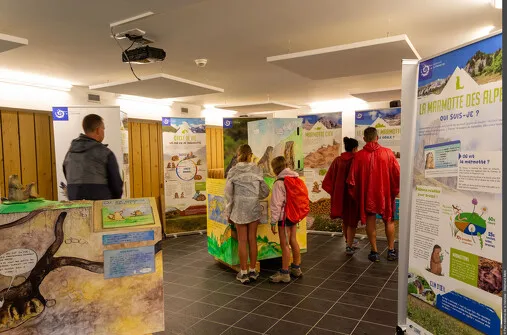 Visite commentée de l'exposition "La tribu des marmottes"