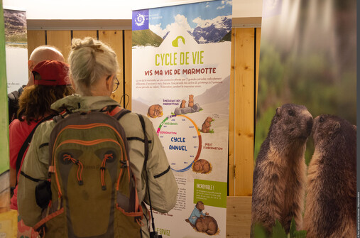 Exposition La Tribu des Marmottes
