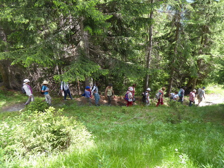 Workshop - Geneeskrachtige werking van wilde planten uit elf Bergen