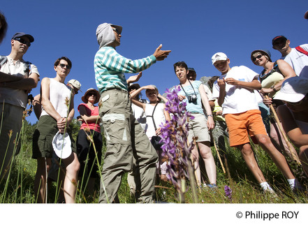 Discovery hike of our unusual mountain plants