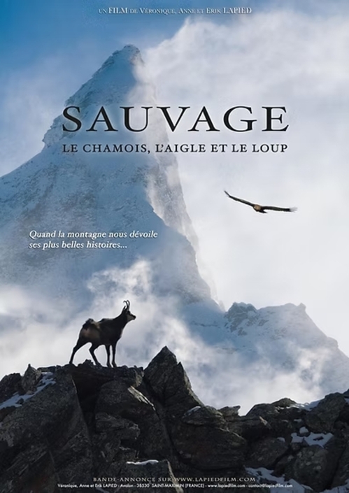 Screening - SAUVAGE, le chamois, l'aigle et le loup - by Véronique, Anne and Erik Lapied