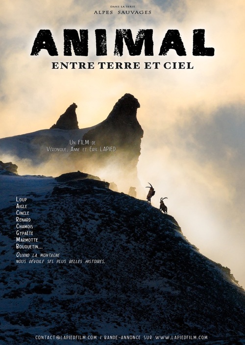 PROJECTION: ANIMAL - Entre Terre et Ciel - Film des Lapied