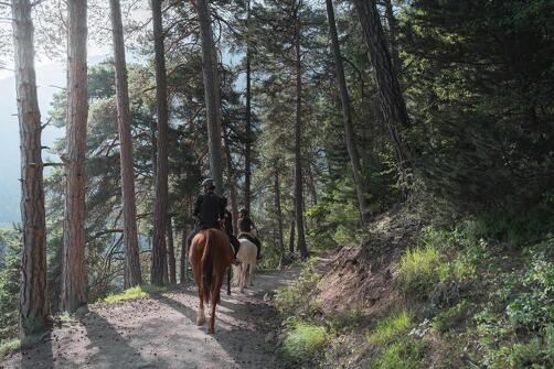 Les Ecuries de Bissorte riding school