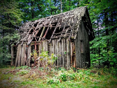 In survival mode: building a shelter