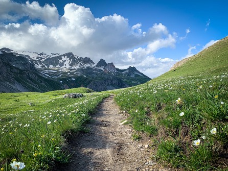 Sur les traces de la Bataille des Alpes