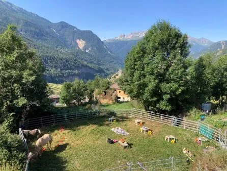 Ateliers Poneymotions