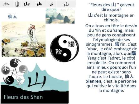 Méditation taoïste