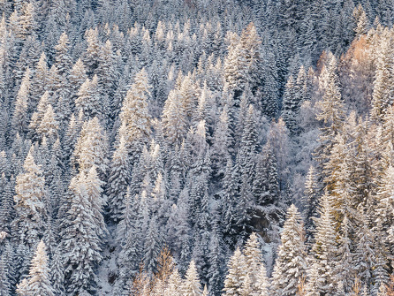 Snowshoeing itinerary: Du Moulin au Viguet