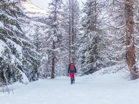 Snowshoe itinerary: Baraque des Douaniers