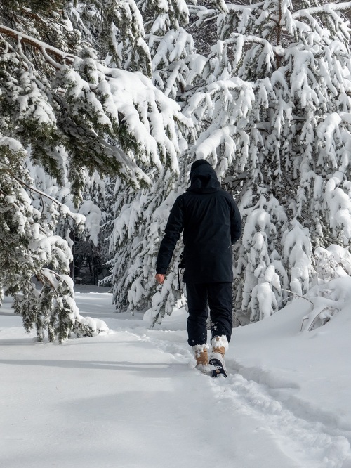 Itinéraire piéton raquettes  : La balade d'Hannibal