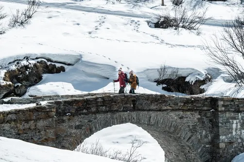 Snowshoeing Itinerary: Route de l'Ecot