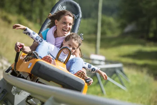 Luge 4 saisons - Norma Loops