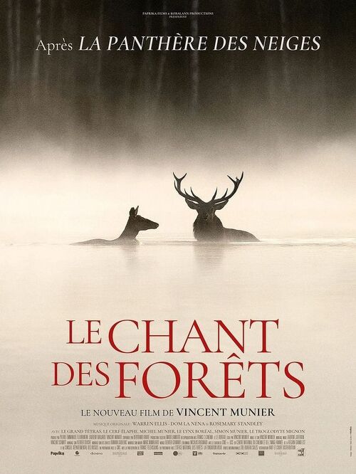 Projection - LE CHANT DES FORÊTS