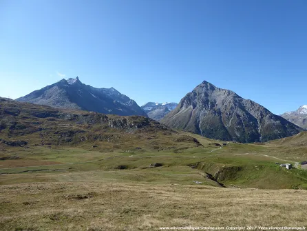 Balade botanique, histoire et vie quotidienne du Mont-Cenis I Rendez-vous Nature en Savoie