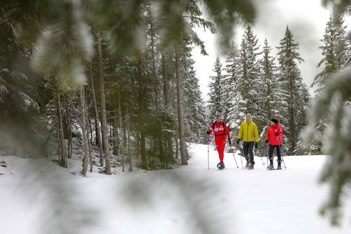 Journée raquettes avec repas panoramique sur le lac du Mont-Cenis