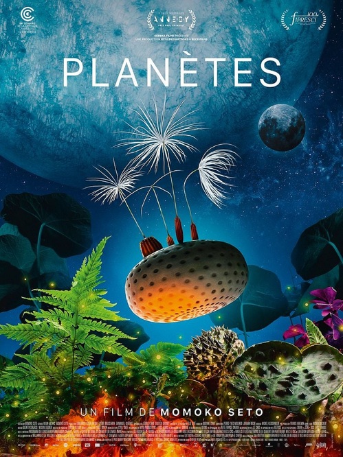 Projection : Planètes