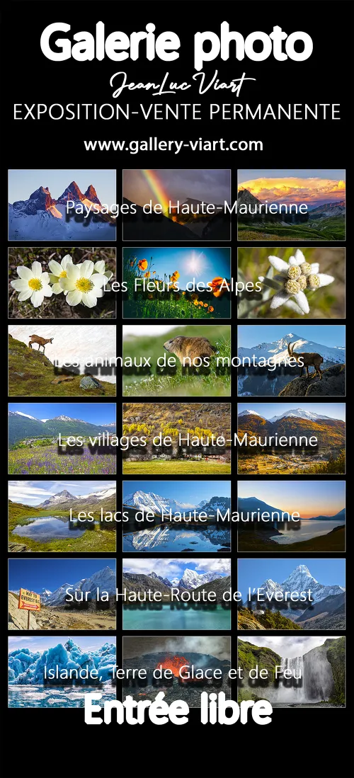 Exposition Photo