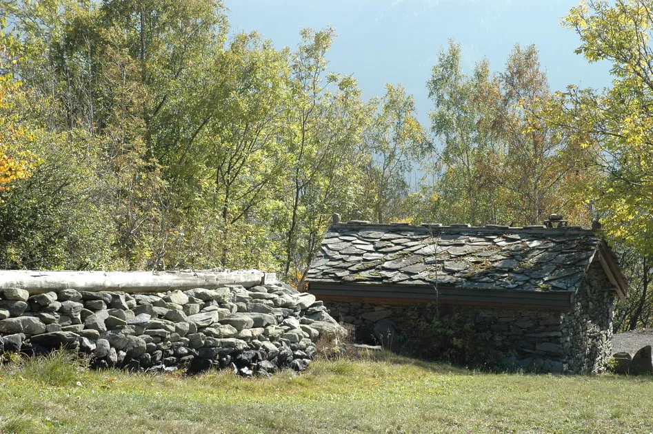 © Les moulins de Pralognan à Saint-André - D.Benard