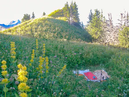 Family Bivouac or "1000 star hotel" outing