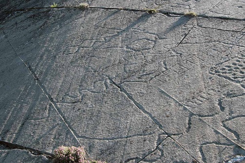 Balade à pied dans le Parc archéologique des Lozes