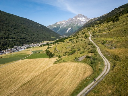 Cross-country mountain biking: Les Champs
