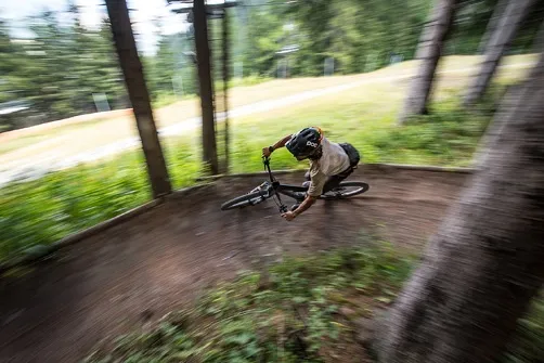 MTB Enduro: The Wild Ride 2