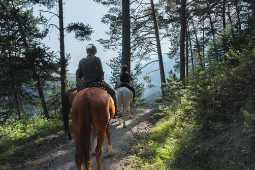 Balades à cheval