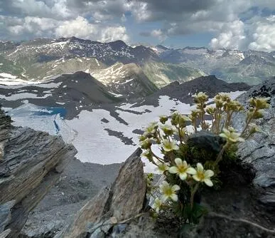 Rando d’Altitude : Pointe de la Met 3041m