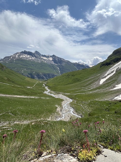La Lenta visit to Alpage du Vallon