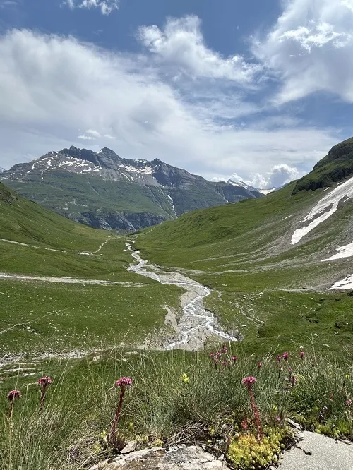 Visite à l'Alpage du Vallon par La Lenta