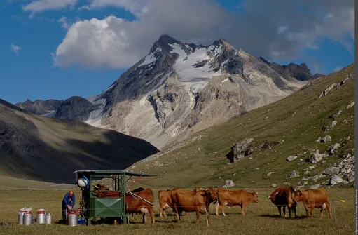 Exposition "Le Pastoralisme en Vanoise"
