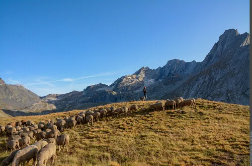 Visite commentée de l'exposition "Le Pastoralisme en Vanoise"