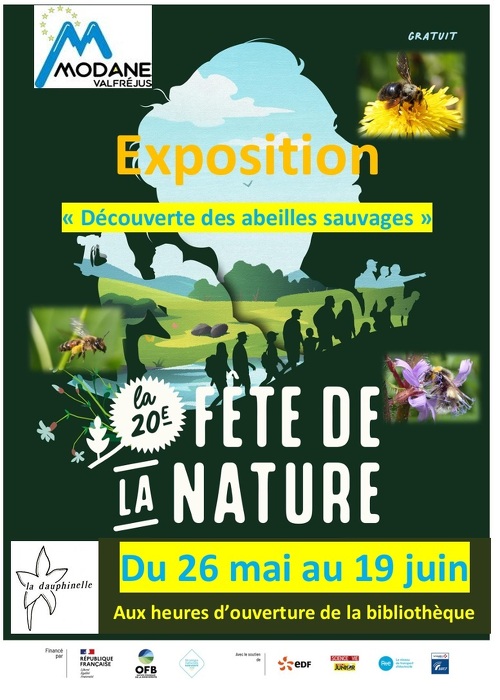 Exposition : Découverte des abeilles sauvages