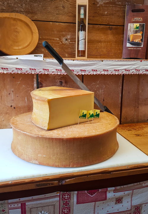 Visit to the production workshop of the Haute Maurienne Vanoise dairy cooperative - Base Camp Festival
