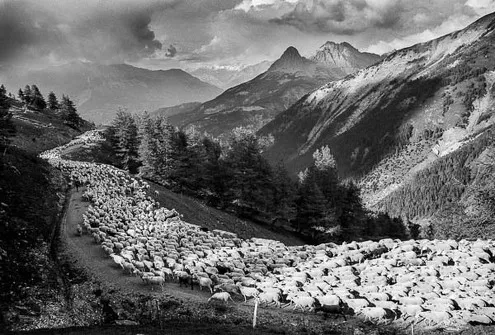 CONFÉRENCE-DIAPORAMA : Pastoralisme et art rupestre dans les Alpes