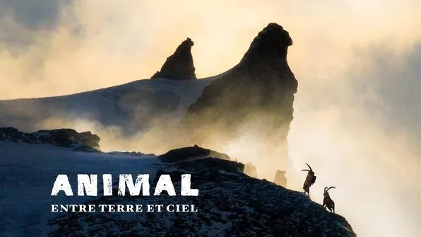 Film de montagne - Animal entre Terre et Ciel