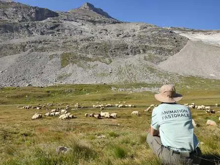 Rencontres pasto
