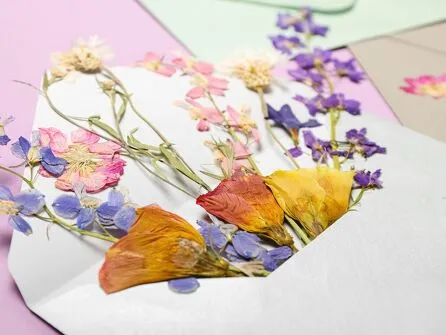 atelier nature - crée ton tableau végétal
