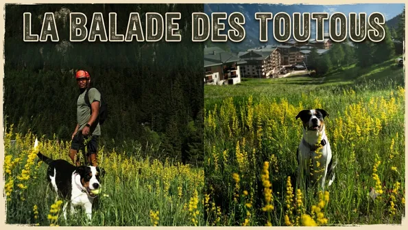 La balade des Toutous