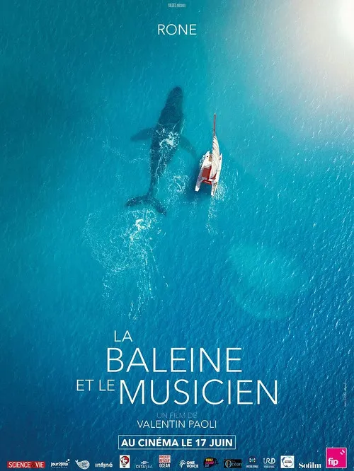 PROJECTION : La baleine et le musicien
