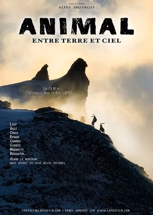 PROJECTION : Animal - Entre terre et ciel