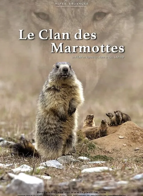 PROJECTION : Le clan des marmottes